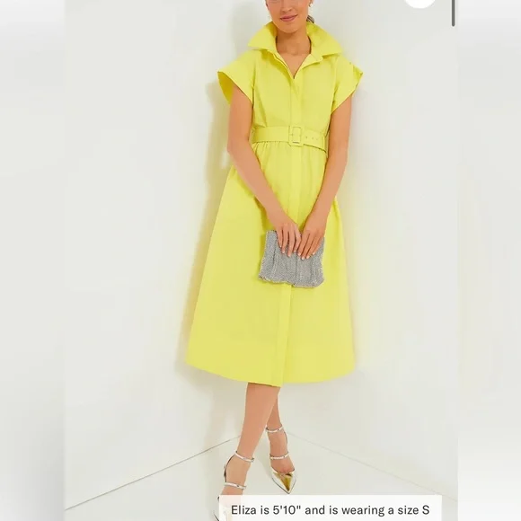 TUCKERNUCK Citron Chloe Dress SMALL - Picture 13 of 13